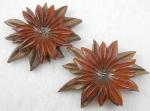 Wooden Jewelry - Amber Bakelite & Wood Dress Clips Pair