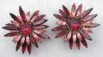 Newly Added Schreiner Red & Pink Navette Earrings